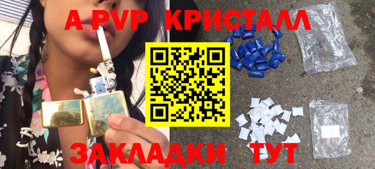 А ПВП крисы CK  Вход с VPN  как найти   Альфа ПВП  Каменка  Alfa_PVP СК  A-PVP СК КРИС 