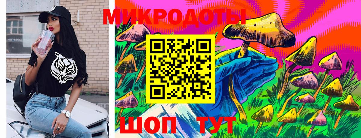Псилоцибиновые грибы прущие грибы  Вход с VPN  наркота  Каменка 