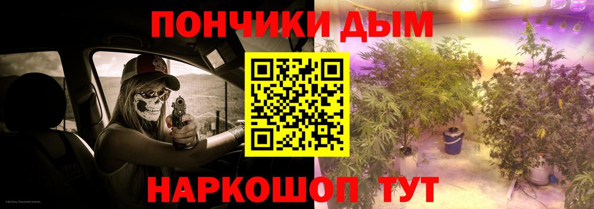 Каменка  Шишки марихуана SATIVA & INDICA  Канабис SATIVA & INDICA  Вход с VPN 